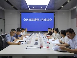 2025年6月4日，区人大常委会副主任周虹带队开展全区智慧城管工作专题调研